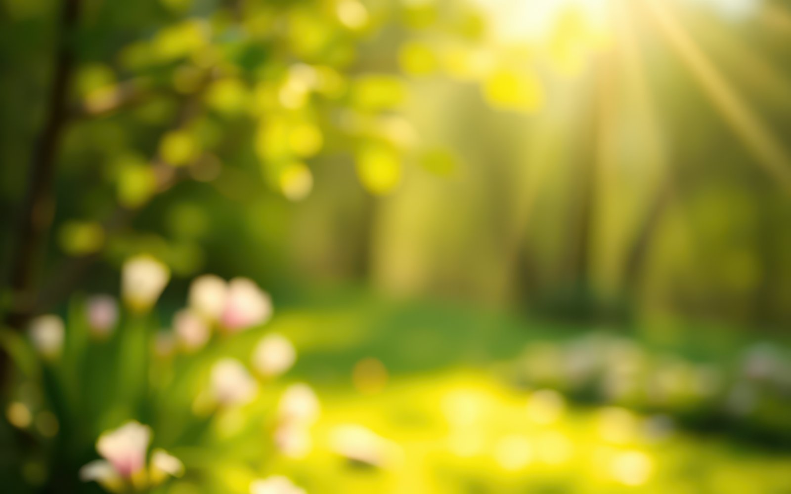 Bright sunlight filters through green foliage in a serene garden setting during springtime